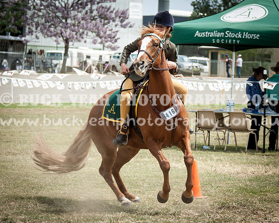 ASH National 14 - 132