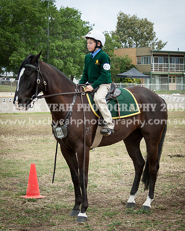 ASH National 14 - 99