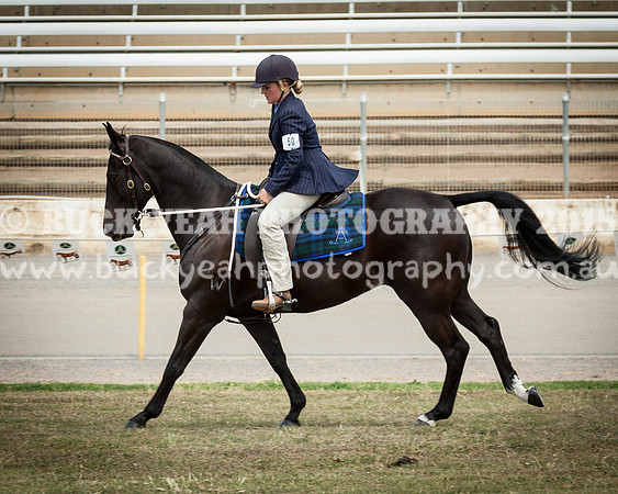 ASH National 14 - 116
