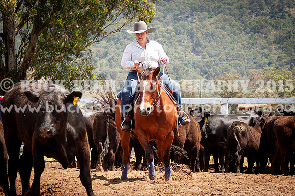 Vacy 24-545