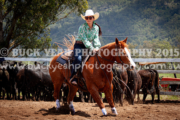 Vacy 24-534