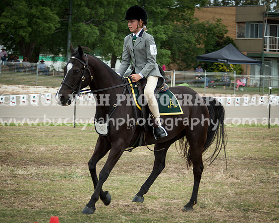 ASH National 14 - 94