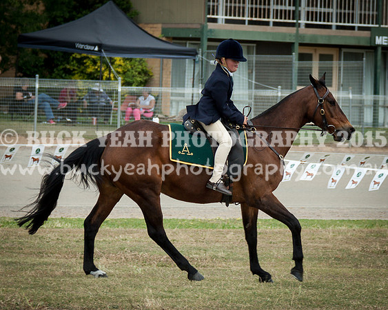 ASH National 14 - 82