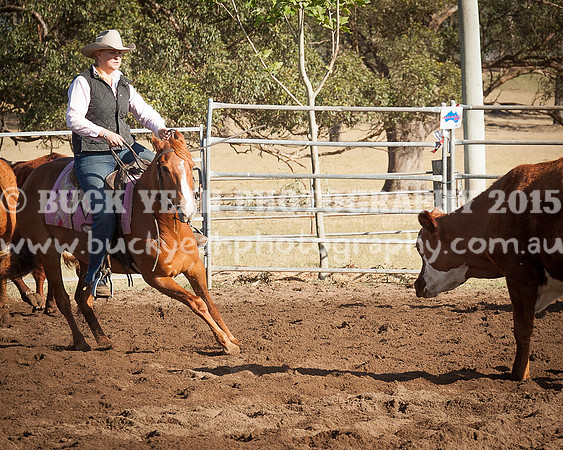 Vacy 2014 - 12