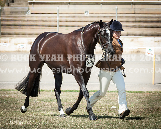 ASH National 14 - 35