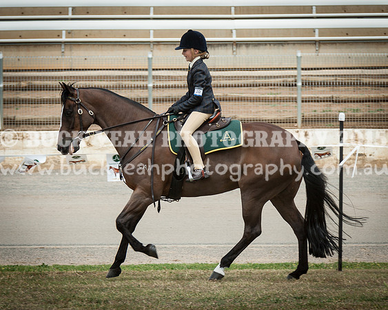 ASH National 14 - 110