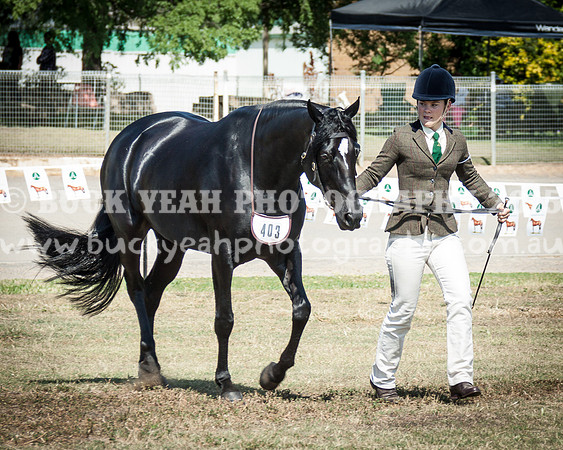 ASH National 14 - 28