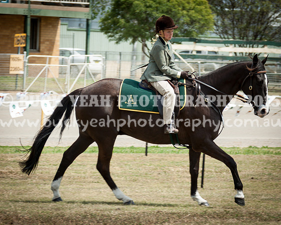 ASH National 14 - 133