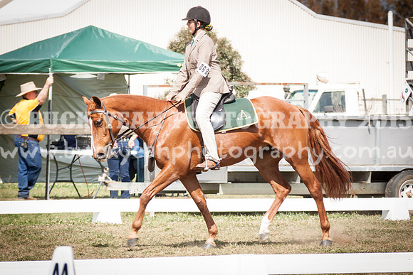 ASH Nationals -2456