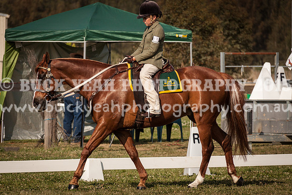 ASH Nationals -2300