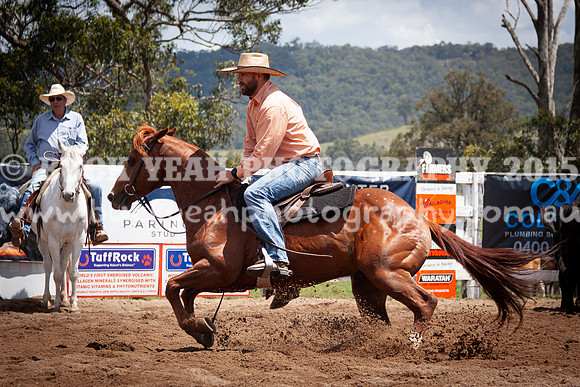 Vacy 24-556