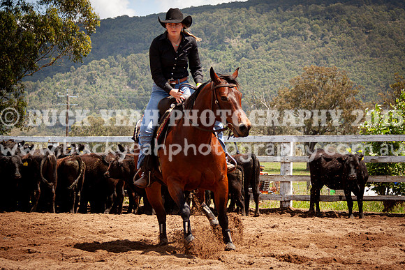 Vacy 24-512