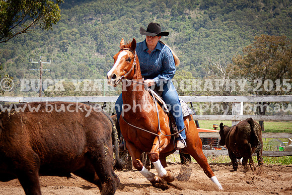 Vacy 24-441