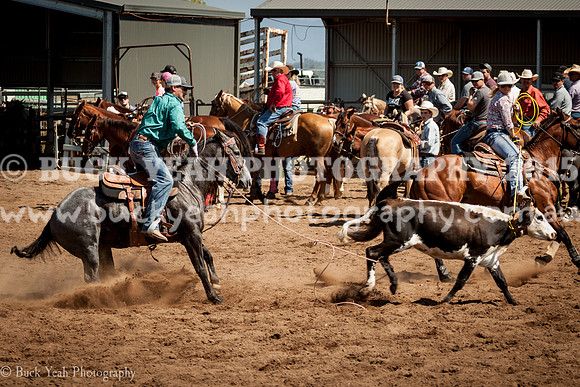 Mapps Sun  -768