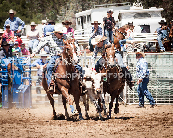 Muswellbrook-260