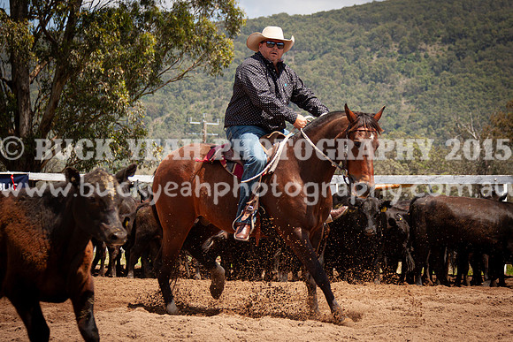 Vacy 24-396