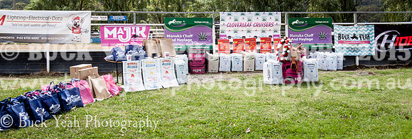 Clovers Classic-5