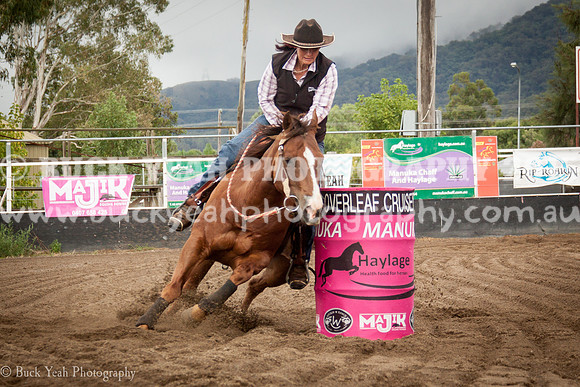 Clovers Classic-40
