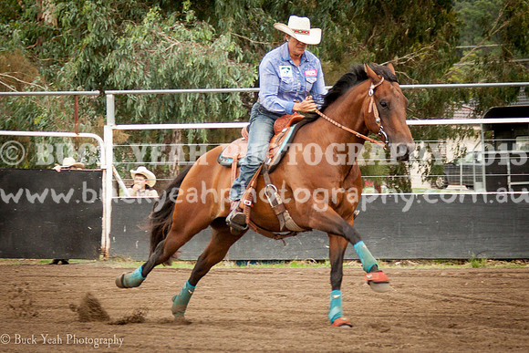 Clovers Classic-44