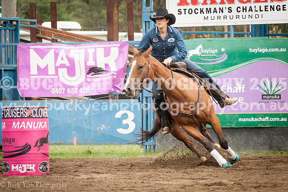 Clovers Classic-48