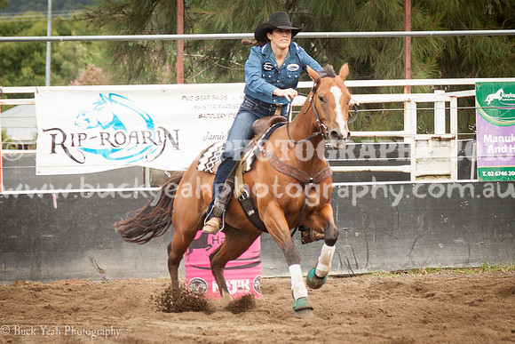 Clovers Classic-53