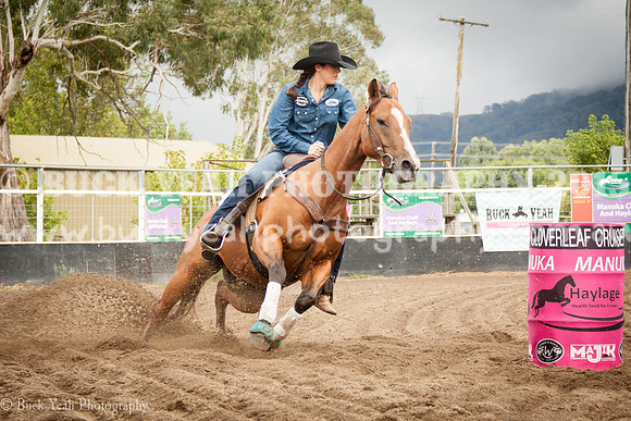 Clovers Classic-52