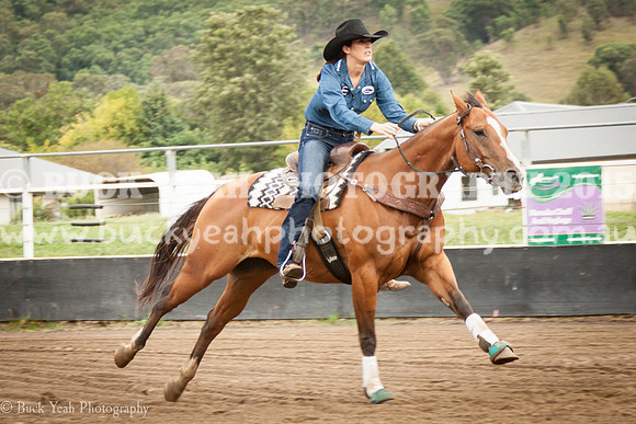 Clovers Classic-54