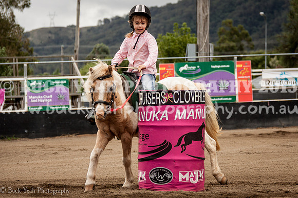Clovers Classic-339