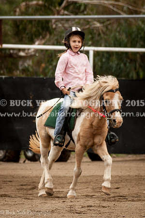 Clovers Classic-341