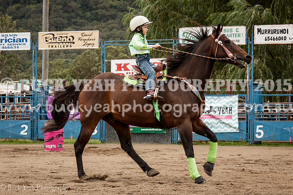 Clovers Classic-348