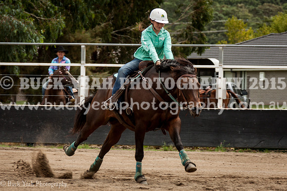 Clovers Classic-395