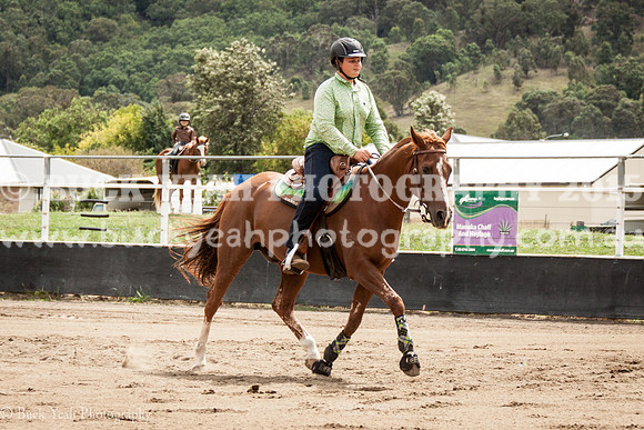 Clovers Classic-413