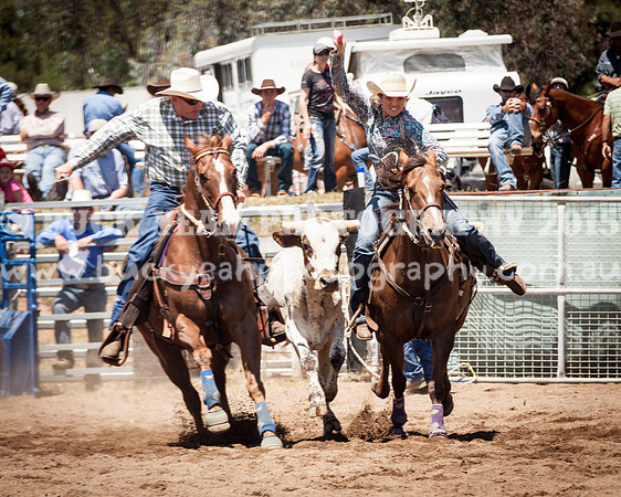 Muswellbrook-262