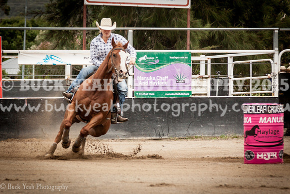 Clovers Classic-618