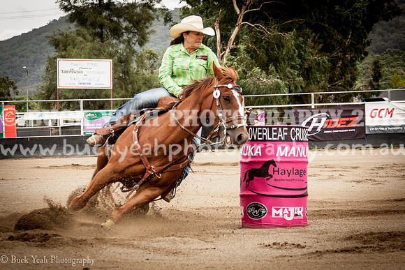 Clovers Classic-631