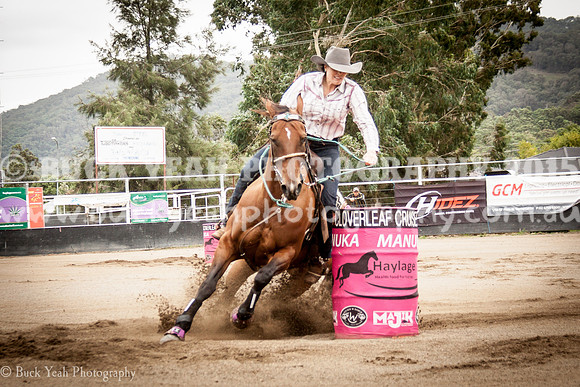 Clovers Classic-634