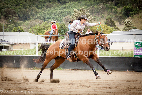 Clovers Classic-639