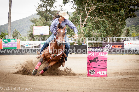 Clovers Classic-651