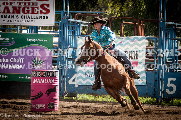 Clovers Classic-1075