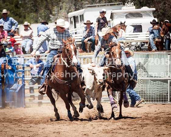 Muswellbrook-261