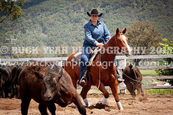 Vacy 24-440