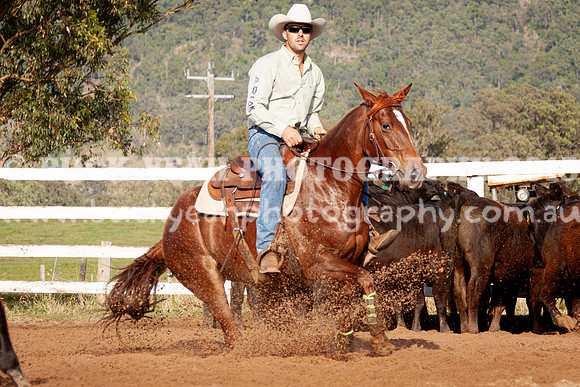 Vacy 24-34
