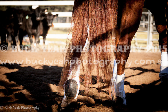 Vacy 16-9
