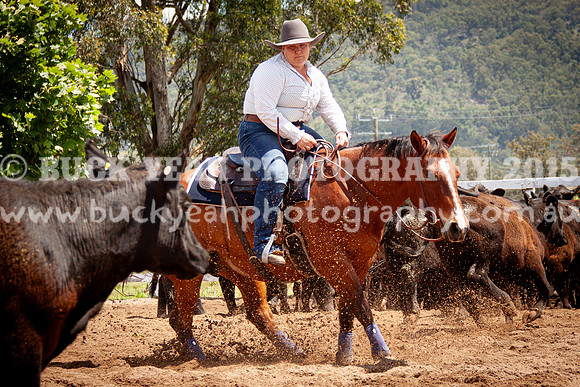 Vacy 24-544