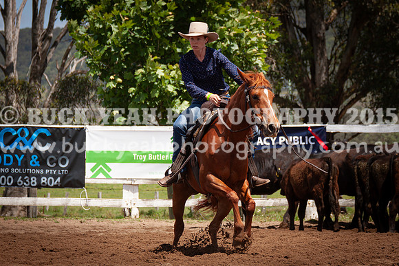 Vacy 24-379