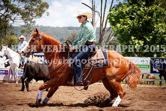 Vacy 24-537