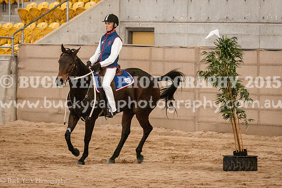 ANWEC 18-619