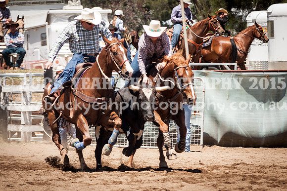Muswellbrook-278