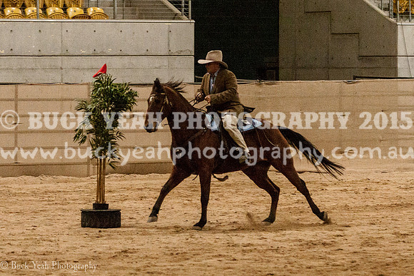 ANWEC 18-890