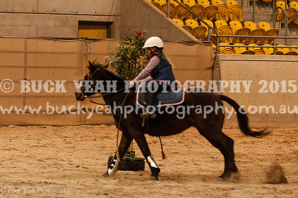 ANWEC 18-908